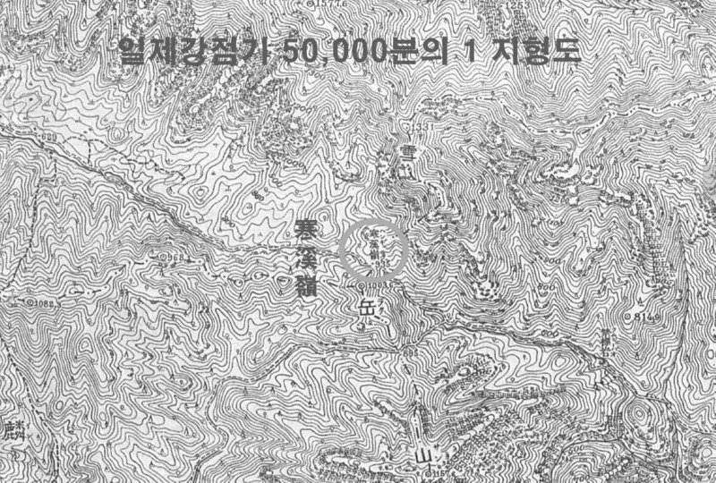 7902.jpg