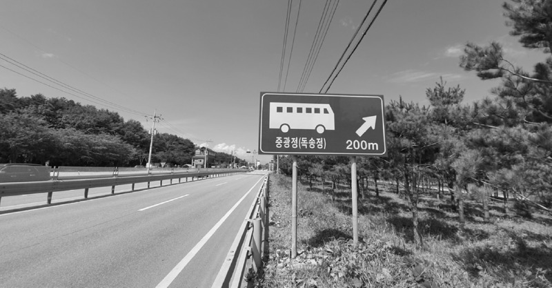7302.jpg
