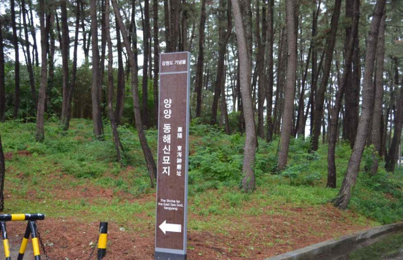 161-2.jpg