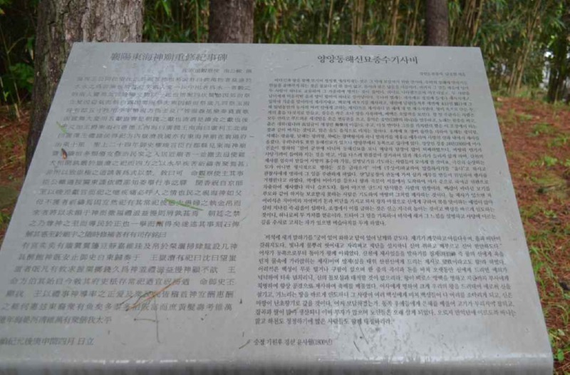 141-2.jpg