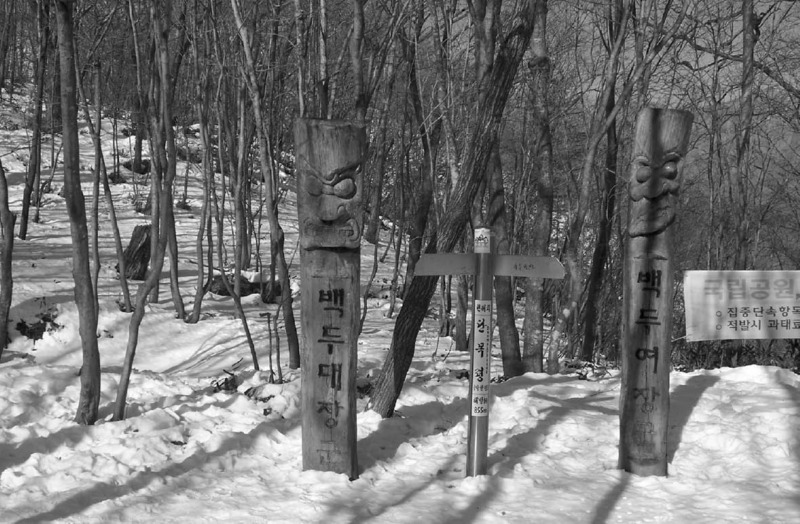 060_02.jpg