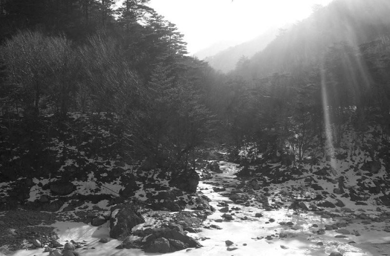 061_03.jpg