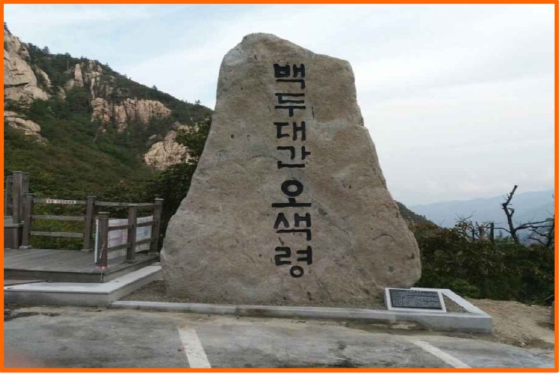 92.jpg