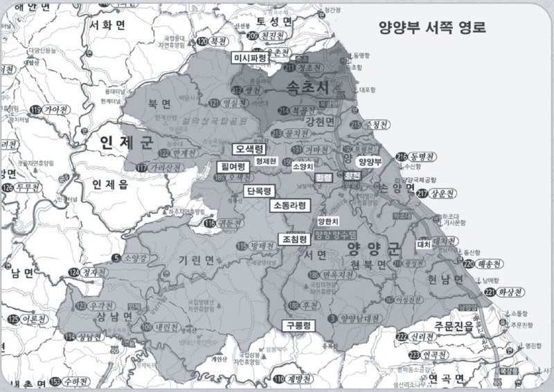 95.jpg