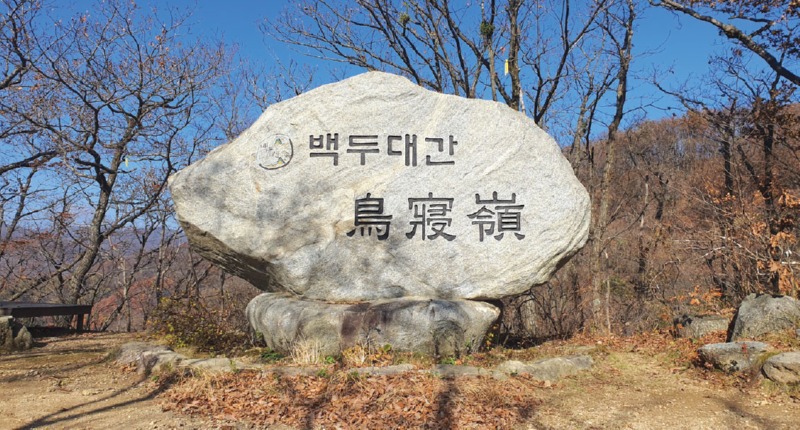 o1.jpg