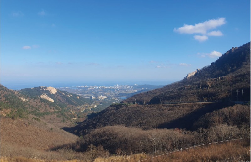 z6.jpg