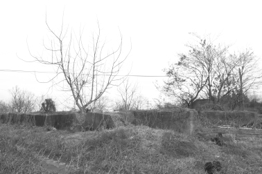 01.jpg