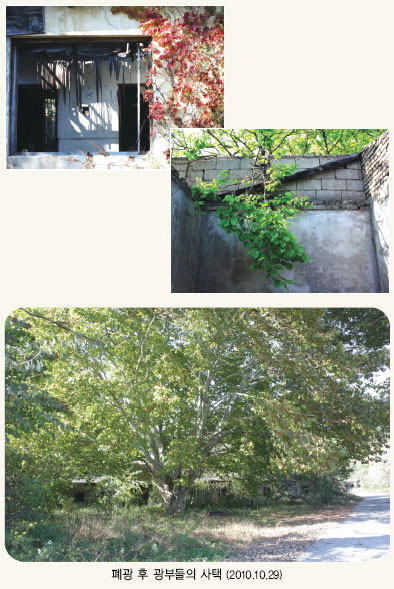 133.jpg