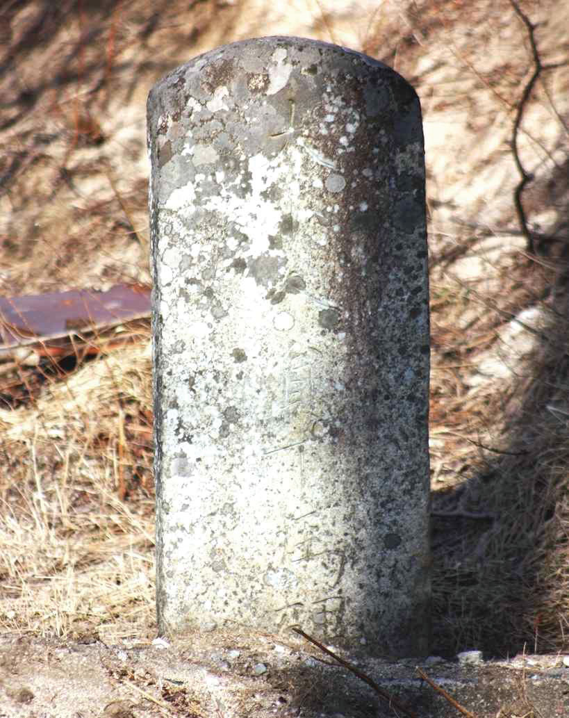 68.jpg