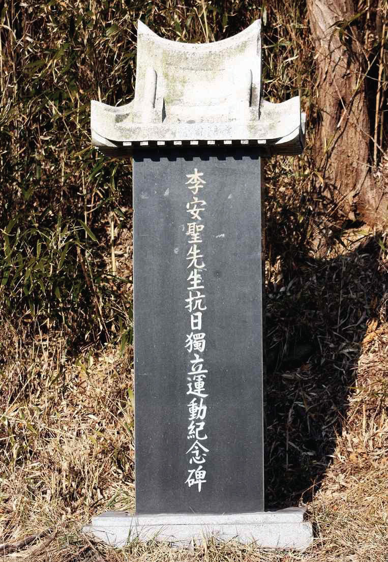 81.jpg