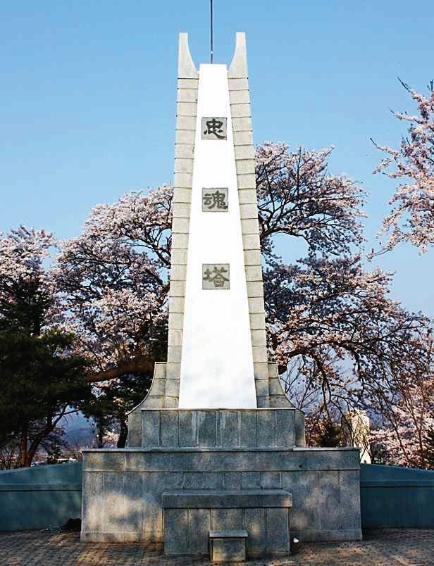 93.jpg