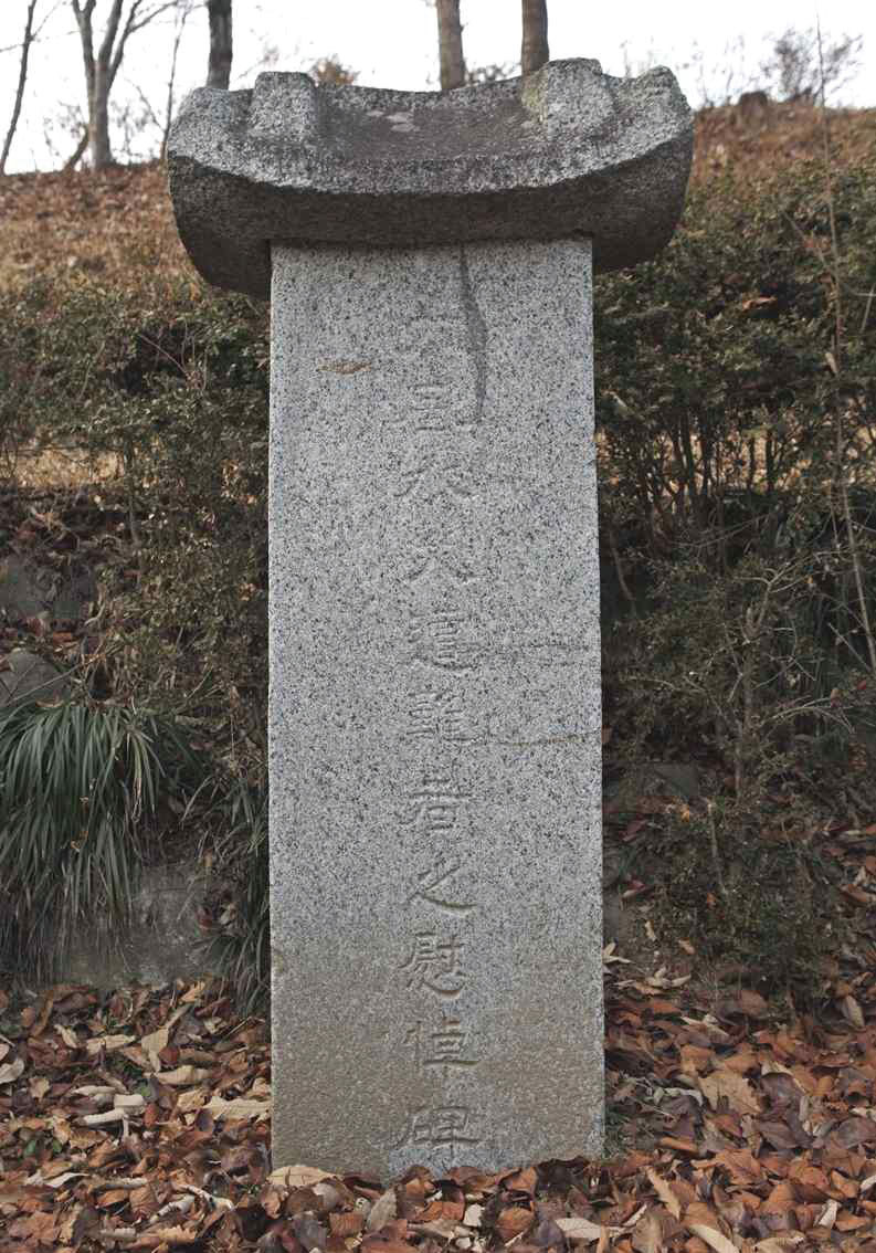 98.jpg