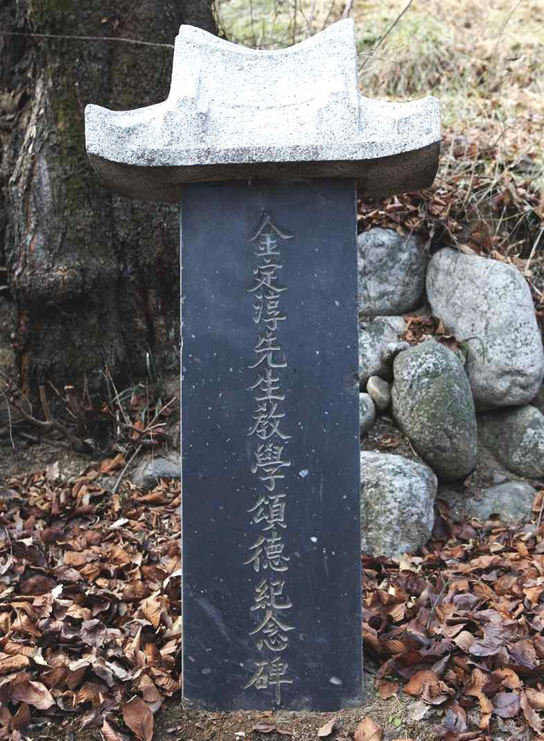 100.jpg