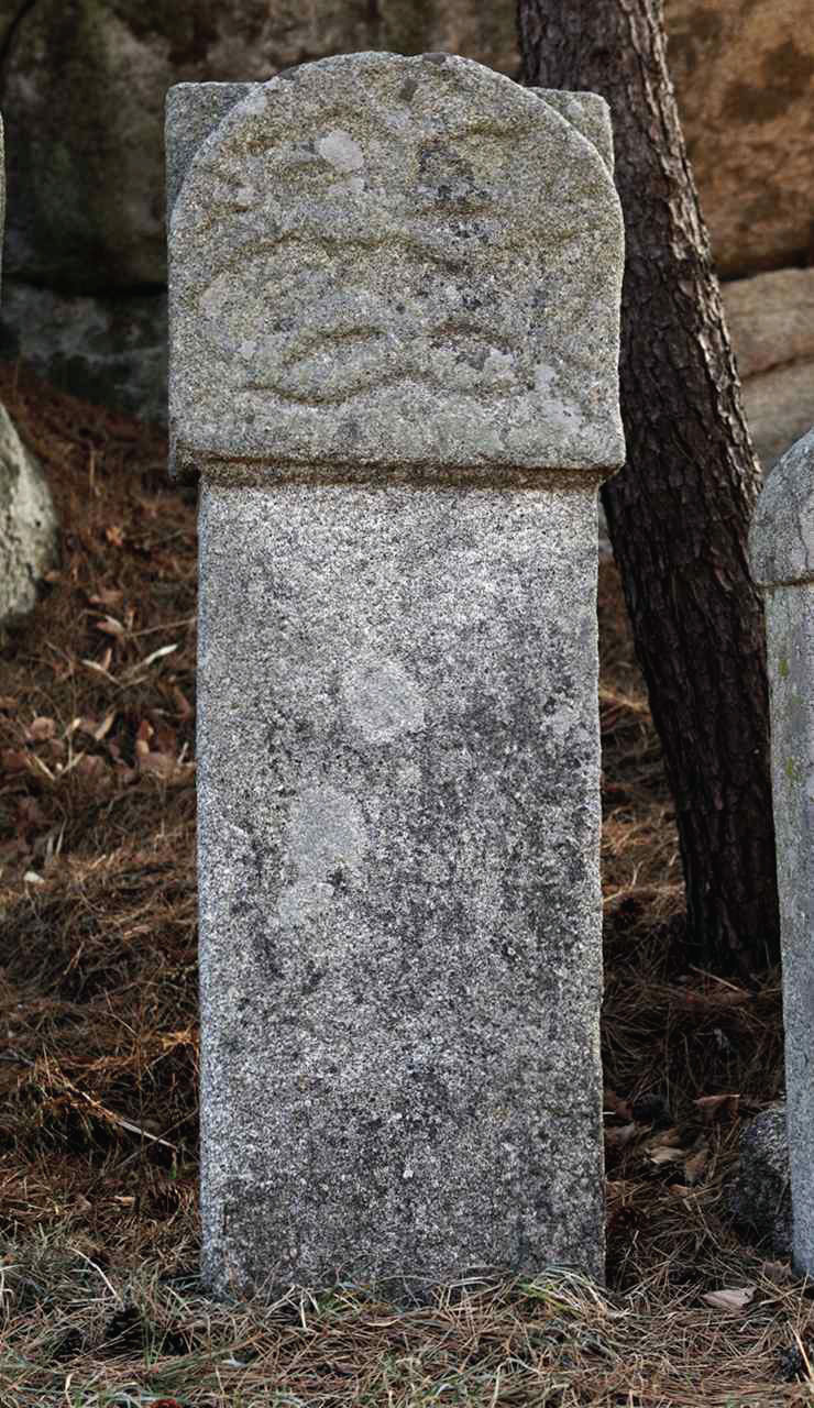 109.jpg