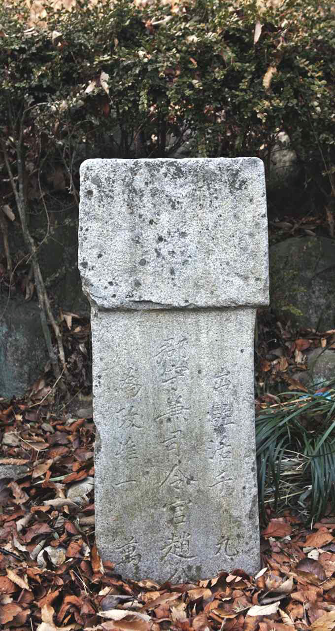 111.jpg