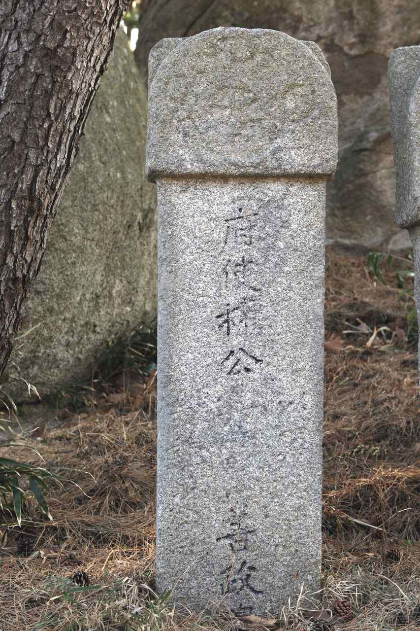 112.jpg