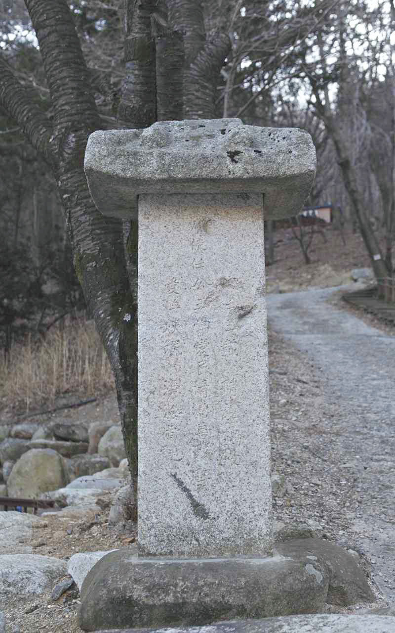 113.jpg