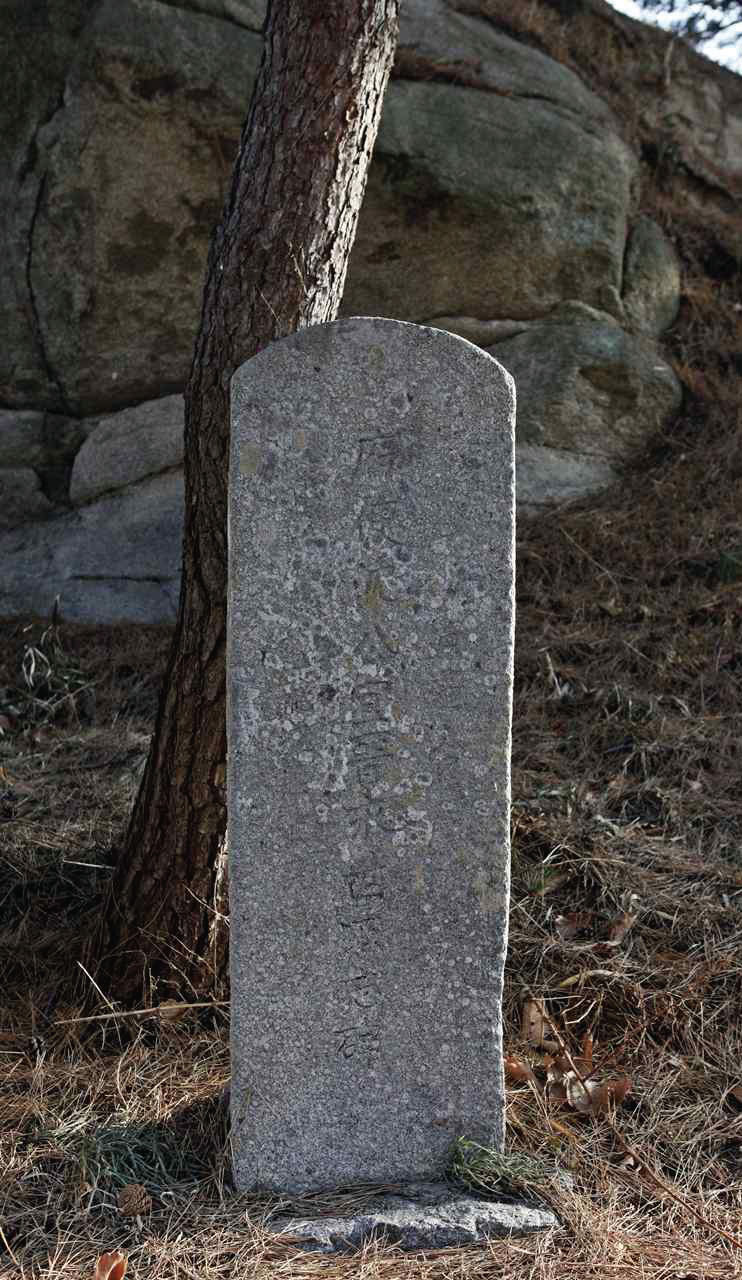 115.jpg