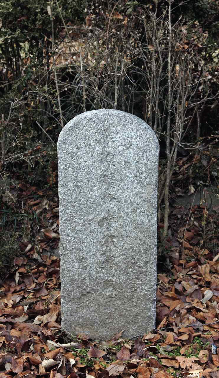 116.jpg