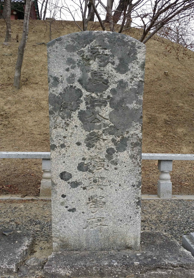 118.jpg