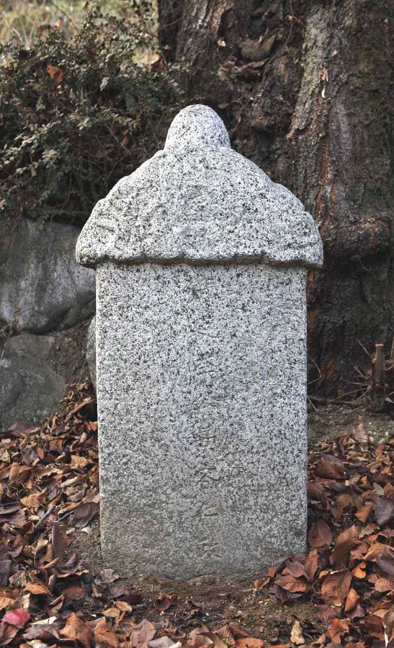 131.jpg