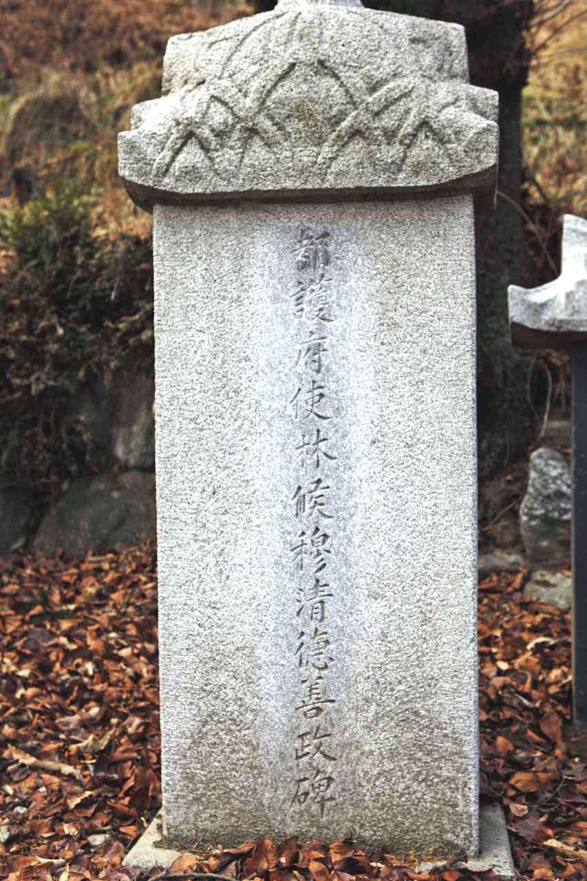 133.jpg