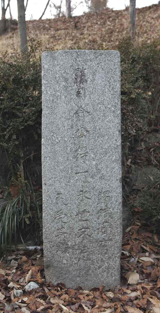 137.jpg