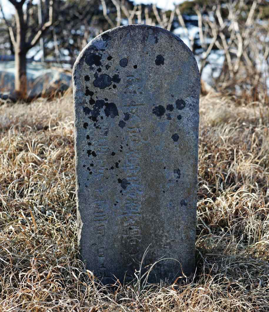44.jpg