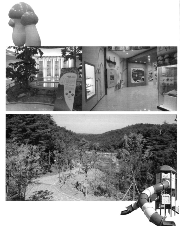 06.jpg