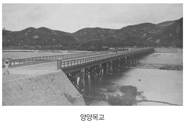 d.jpg