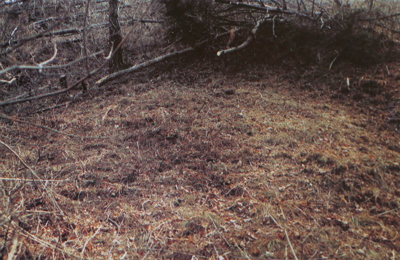 1 (123).jpg
