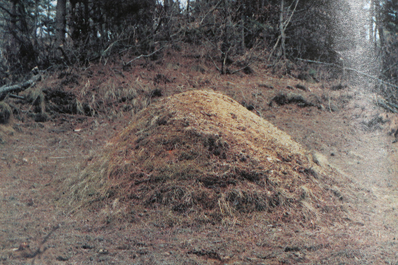 1 (132).jpg