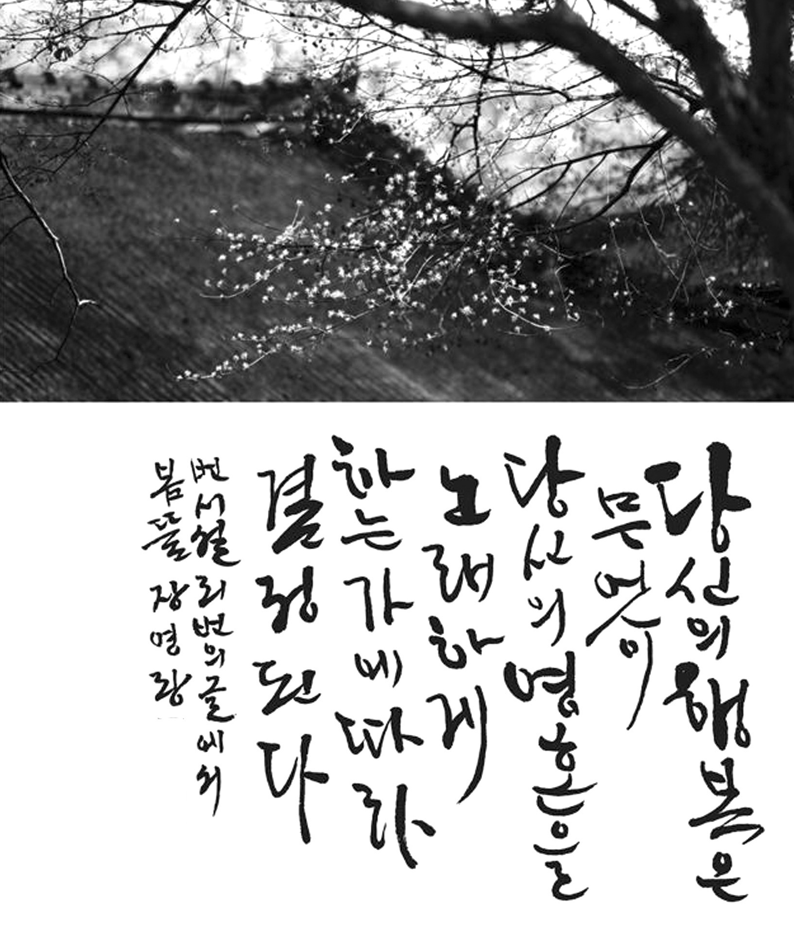 1 (137).jpg