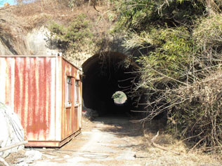 196.jpg