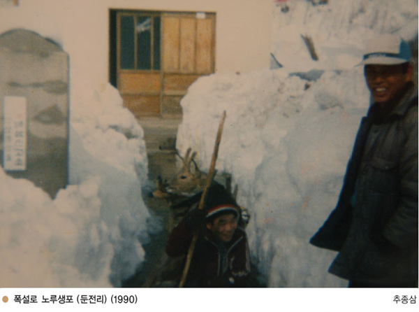 79.jpg
