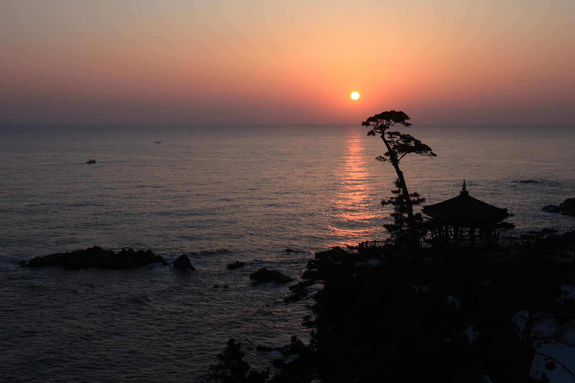 최근choil최근choilIMG_1676.JPG